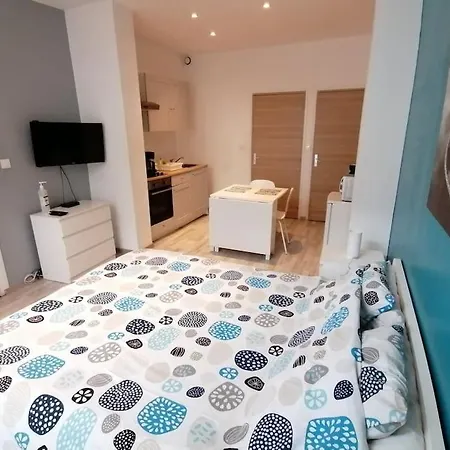Le Clos 1 Studio Spacieux Centre *