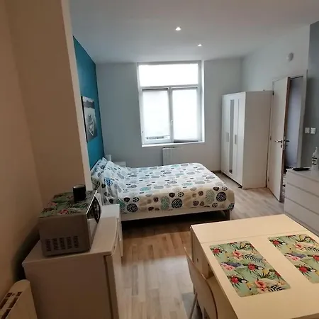 Apartment Le Clos 1 Studio Spacieux Centre *